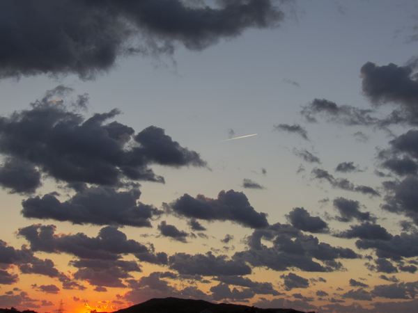 �������� ����.