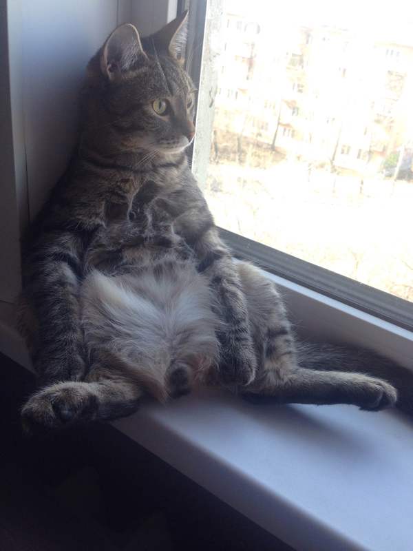 ���������..