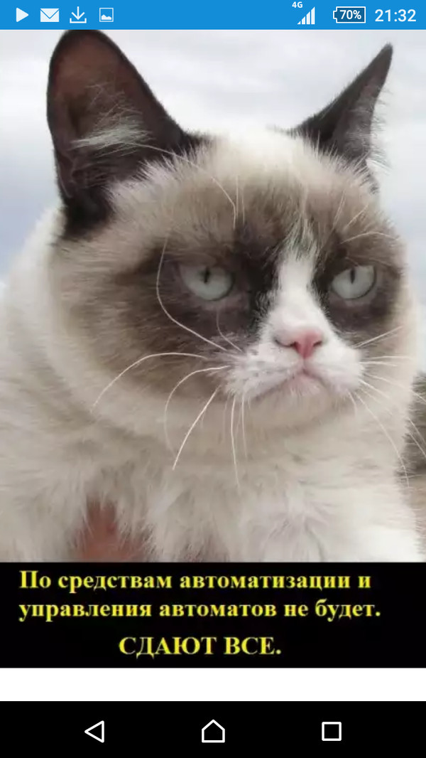   , , , Grumpy Cat, , , , , 