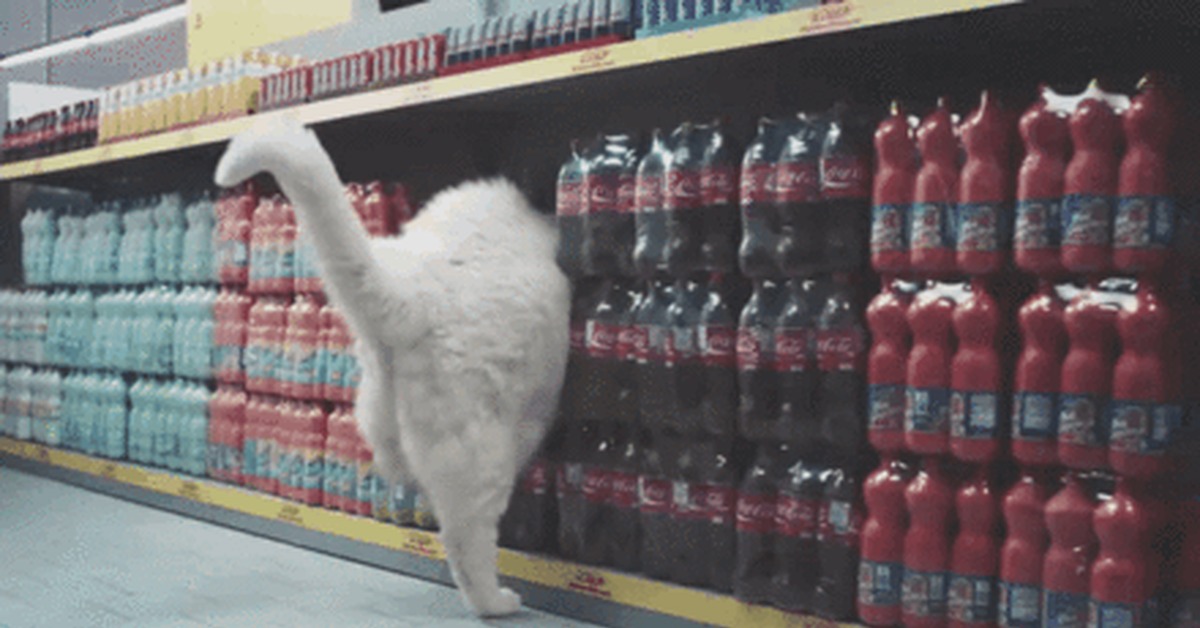 Гифки для витрин. Кот на прилавке. Кот в магазине. Кот в продуктовом магазине. Кошка в магазине.