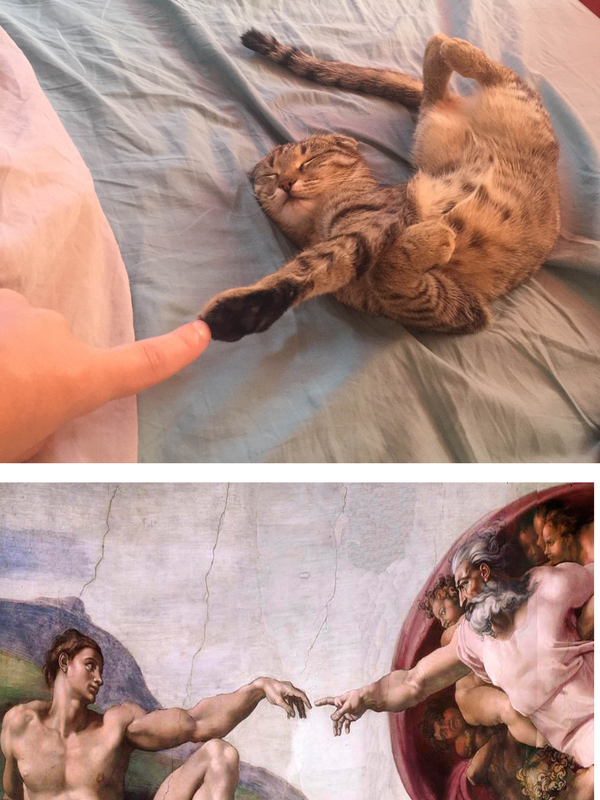    (    ) , 