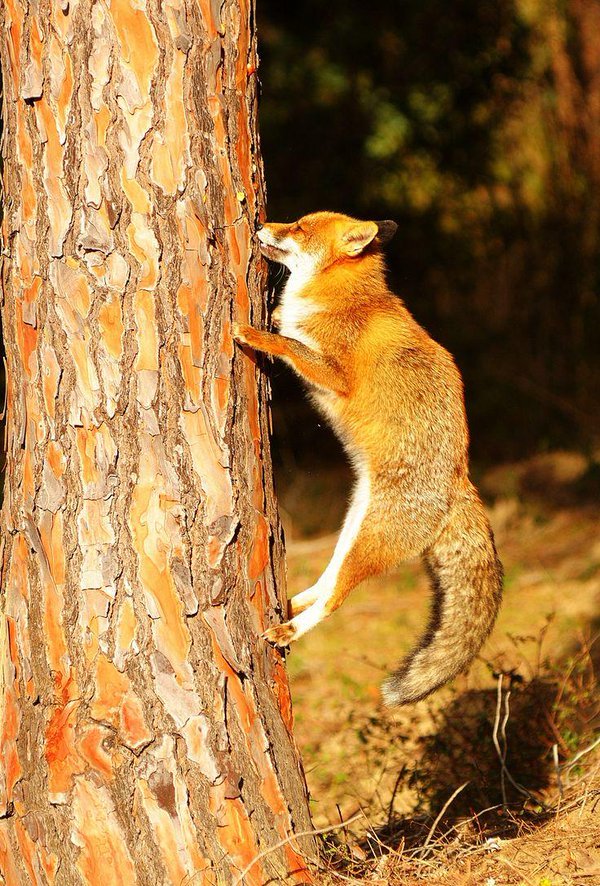 ��������������