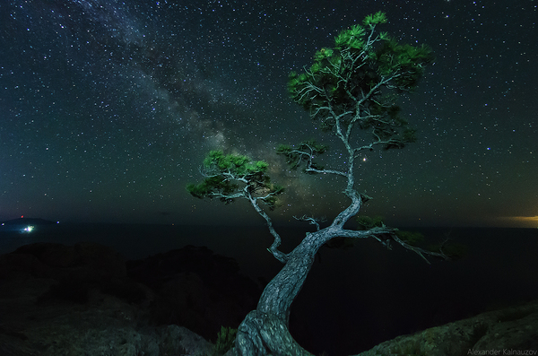 ������� �������� ����� ��� � �����.