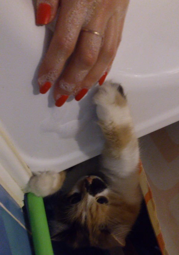 1465392678128049913 Что это мы тут делаем