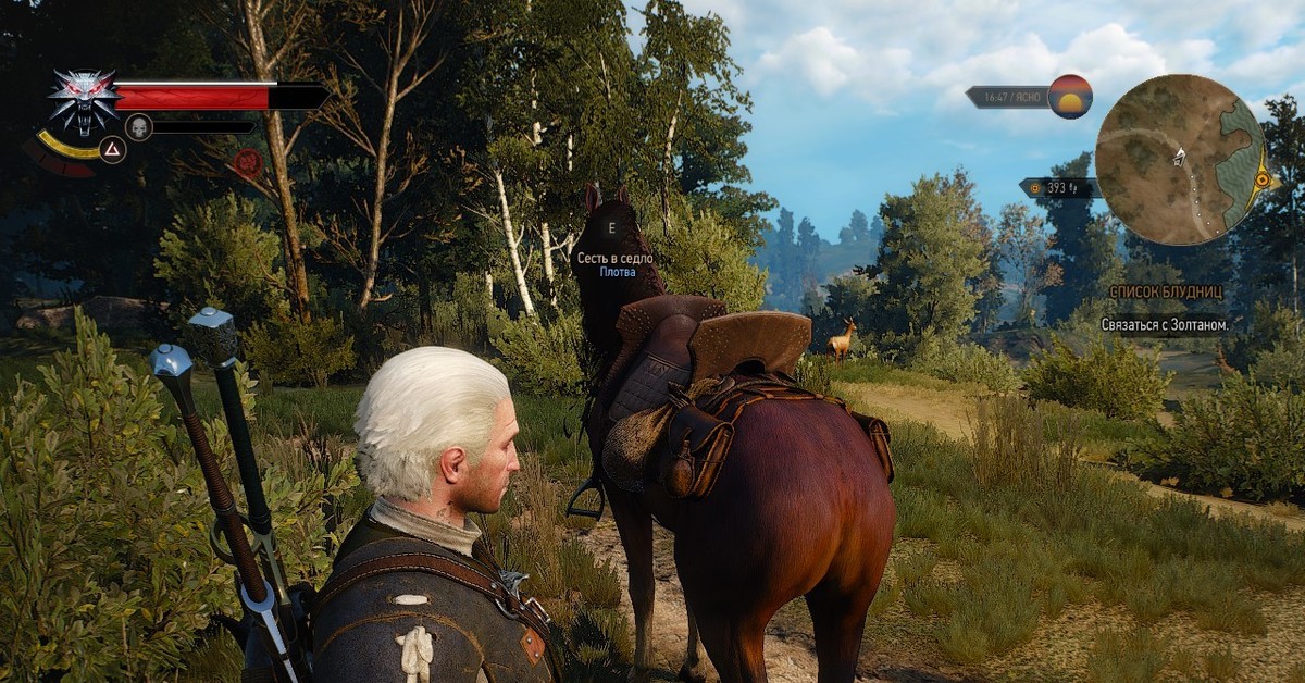 Снаряжение плотвы ведьмак. The Witcher 3 плотва. Плотва Ведьмак 3. Ведьмак игра плотва. Корво Бьянко Ведьмак 3.