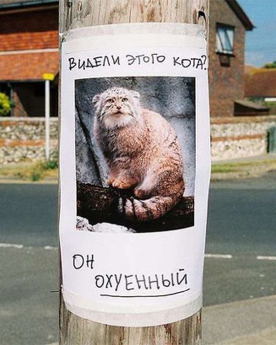 ������ ����� ����?..