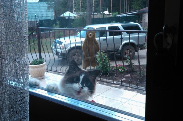 ����� ����� ������� � ���