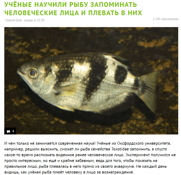     ,     ... , ,  , , Hi-news