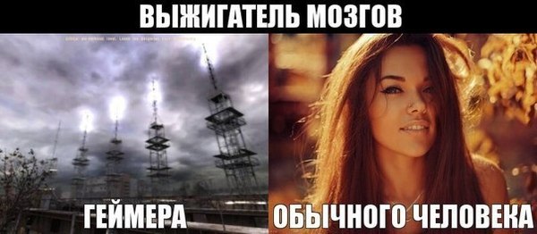 ���� ������, ��������