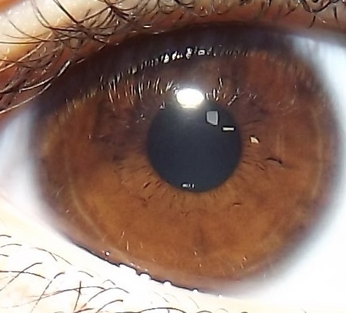От чего зависит цвет глаз человека. Описание каждого оттенка