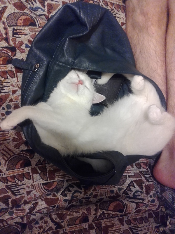 ����������