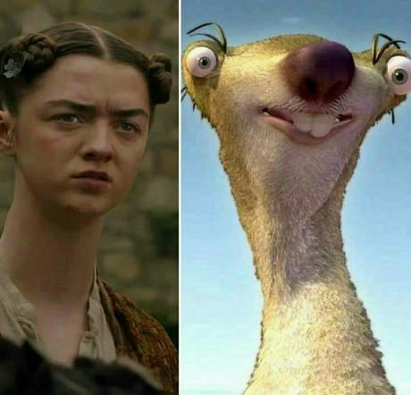 У ленивца нет имени