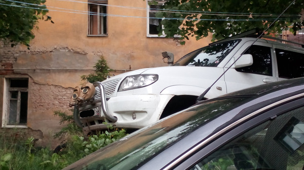 -         ,  -       .