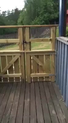 ������, �� ����?