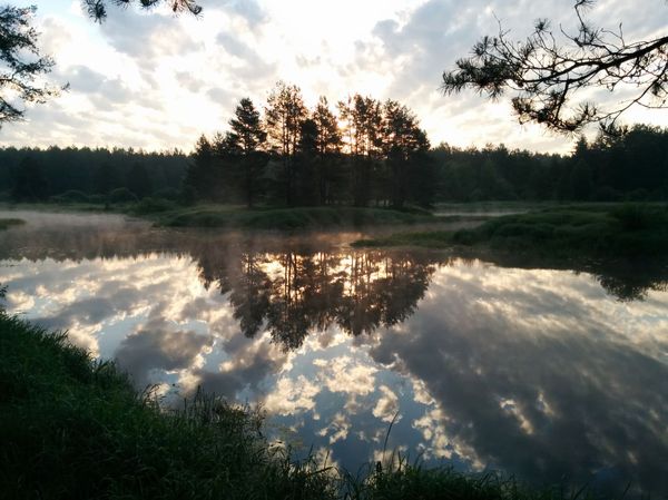 ���������� ��������, �����������.