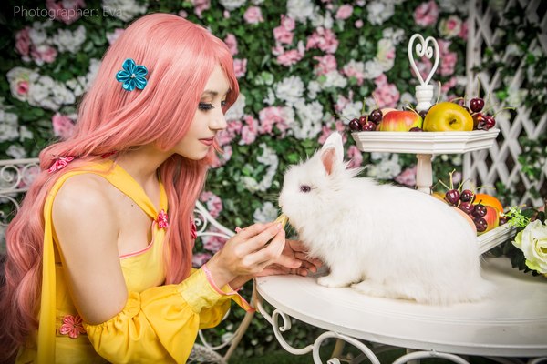 ����� �������