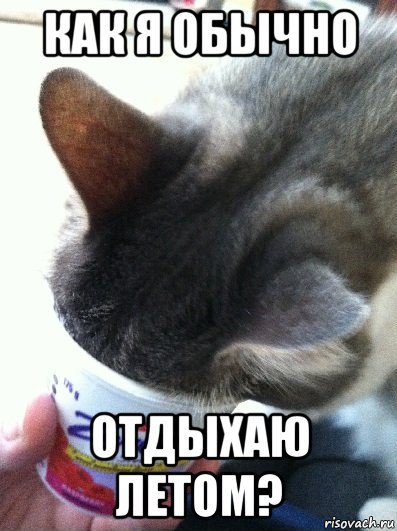     ... Far Cry, ,  , ,   ,   , 