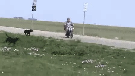  .. )