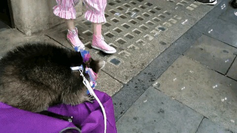 &quot; ....   !&quot;