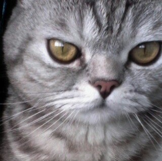 ����������� �����