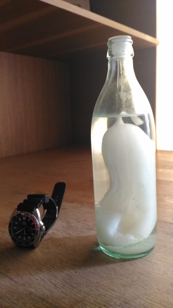 Огурец в бутылке