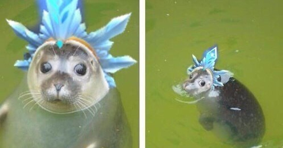 Когда вы это отправить. БАЙТИТЬ Мем. БАЙТИТЬ картинка. БАЙТИТЬ мемы