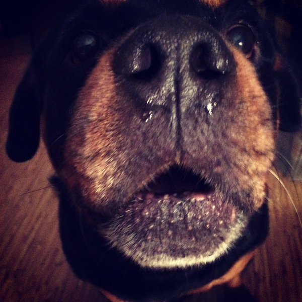 ����� ���������� ������� �������...