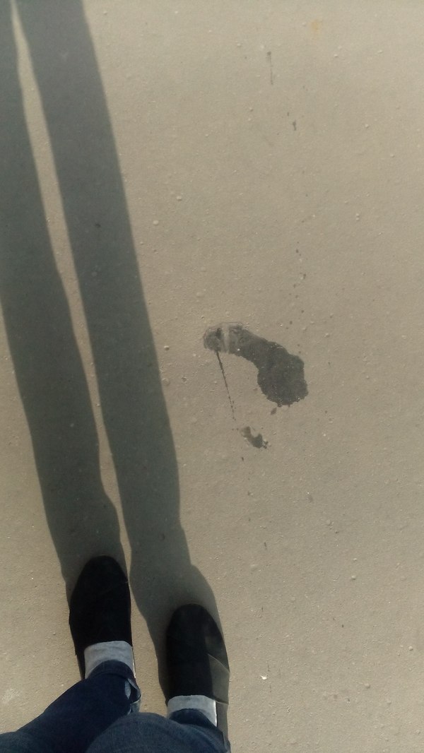 Вместо черной кошки