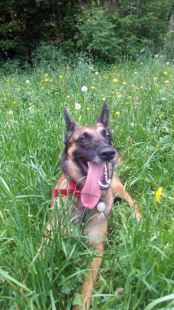 ������ �������