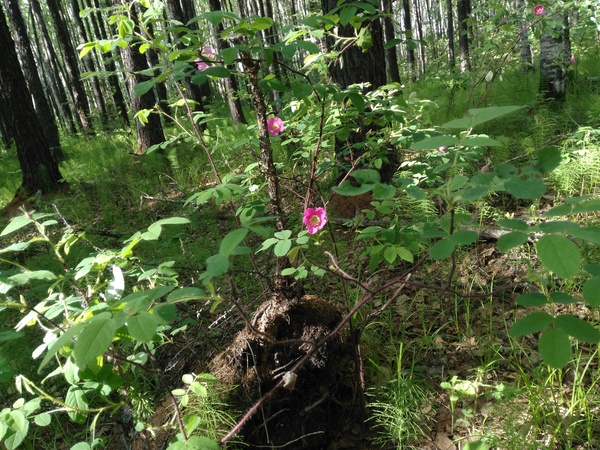 �����  ����� �� ������, ���� �� ����� ����� ������.