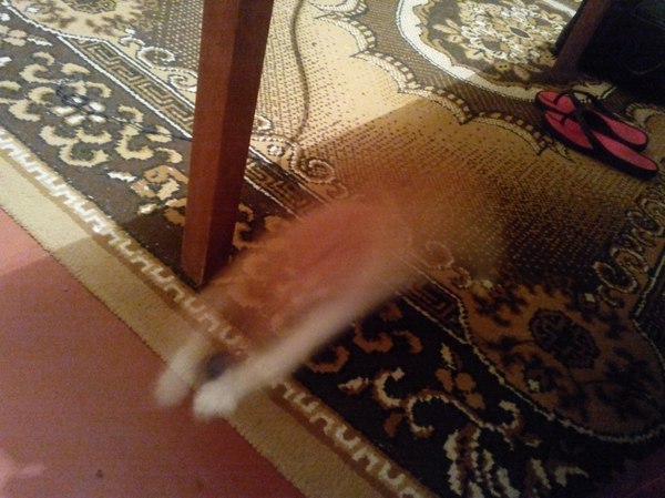 ��������� ������!