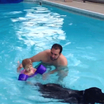 Swimming lessons should be fun - Children, Swimming, Swimming pool, Dog, GIF