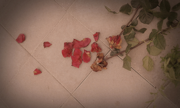 Очередное фото, сделанное на шлакоблок