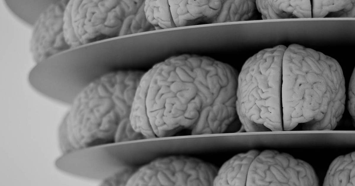 Воля про мозг. Чтение и мозг. Взламывая мозг. Терни д.. Ученые научились выращивать копии человеческого мозга.