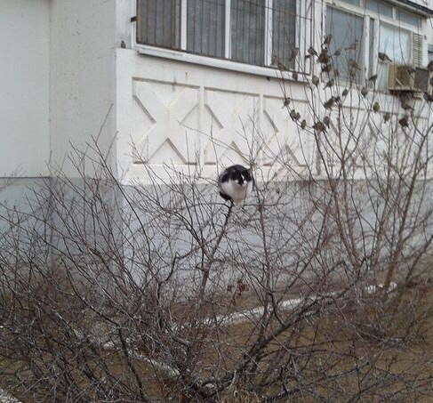 Когда шаткое финансовое положение