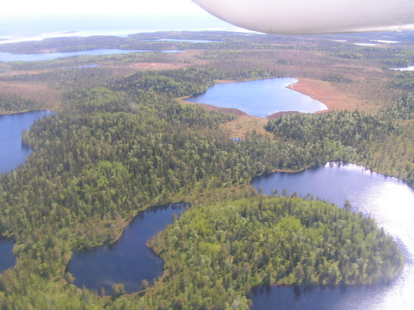 ��� ������ ��������.