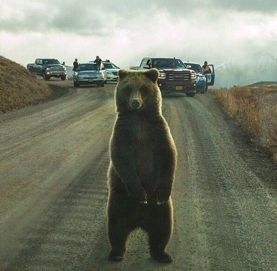 �������, ���� �� ��������� �������...