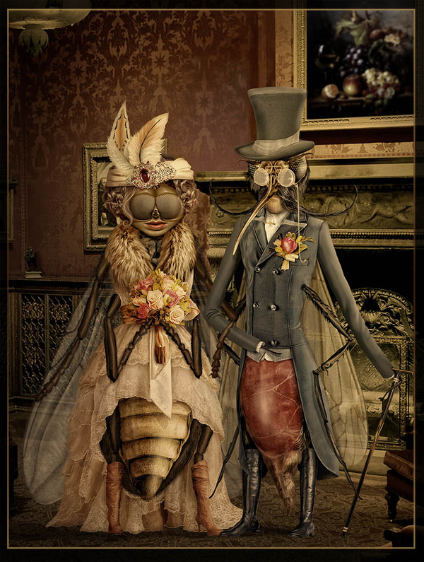 Неравный брак. Тайная жизнь насекомых