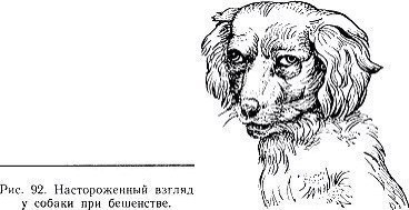 Настороженность
