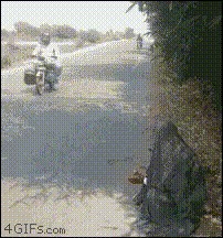 Офигенная, должно быть, страна