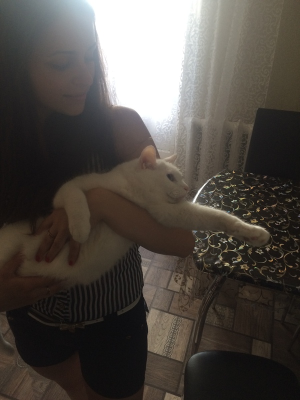 ���� �����������, ��� �� �����������