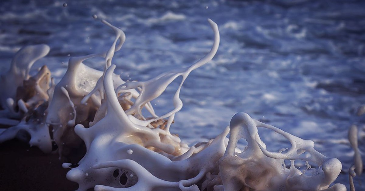 Морская пена в управление. Море пена. Лилия морская пена. Морская пена на Рыбном блюде.