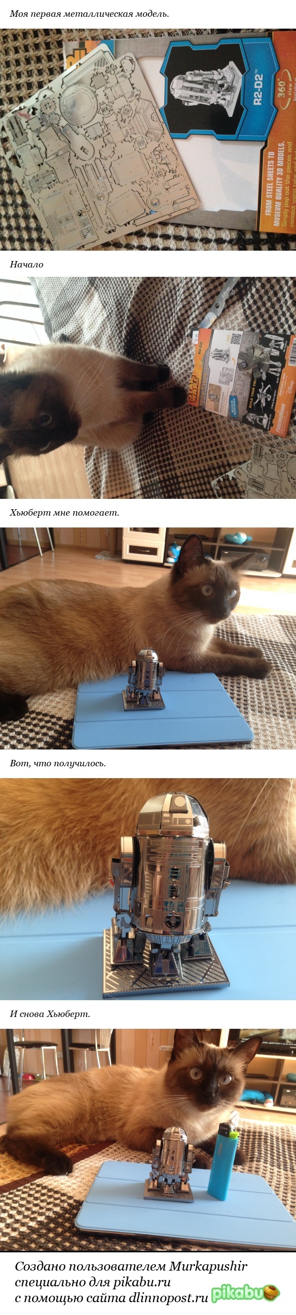 ��� ������ 3D ������.