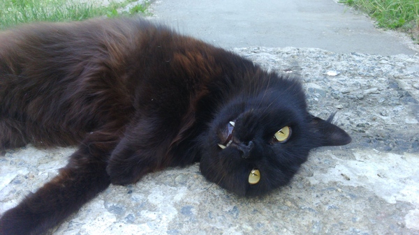 ������� ����������