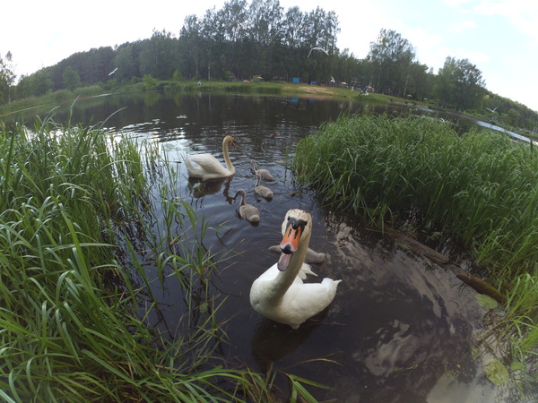 ���������� ������