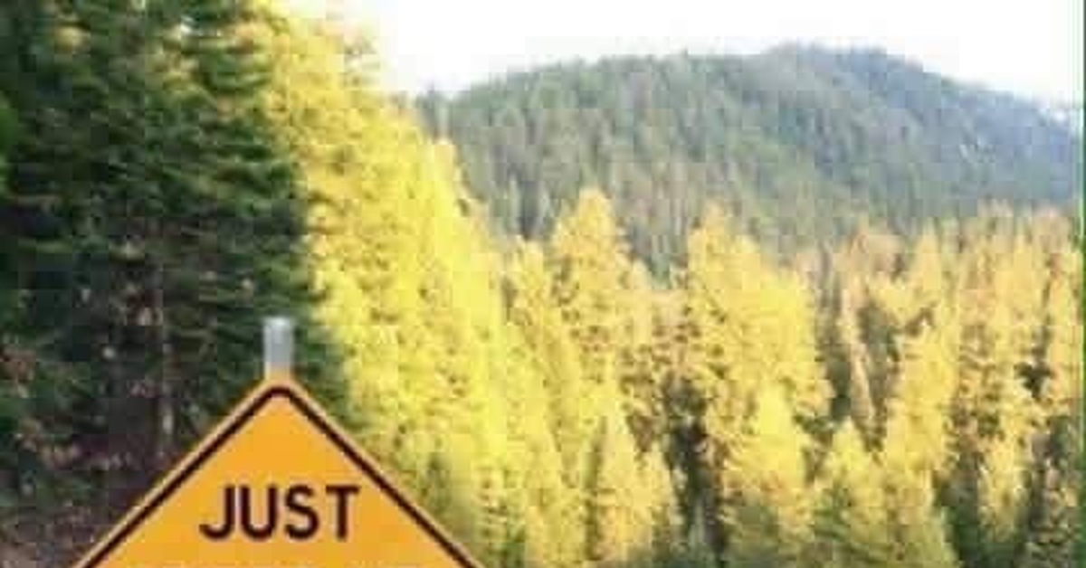 Bit do just. Just Speed up a bit.