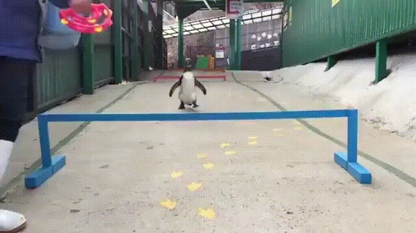  . "  ,   "