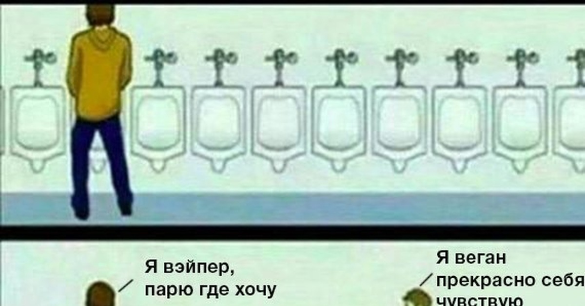 Песню парю. Я веган в туалете. Веган писсуар Мем. Я веган Мем с Писсуарами. Вегетарианец Мем туалет.