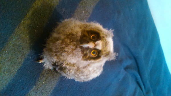 Нашли с бойцами это чудо.