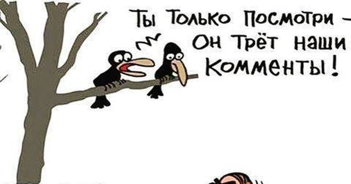 Wumo комикс. Вы только посмотрите на него. Вы только посмотрите на него. Вы только посмотрите на него. Жук навозник карикатура.